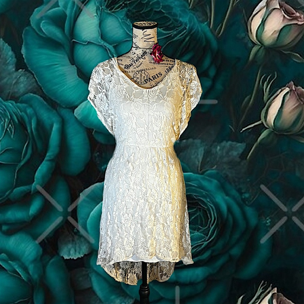 bailey blue Ivory Lace High-Low Dress